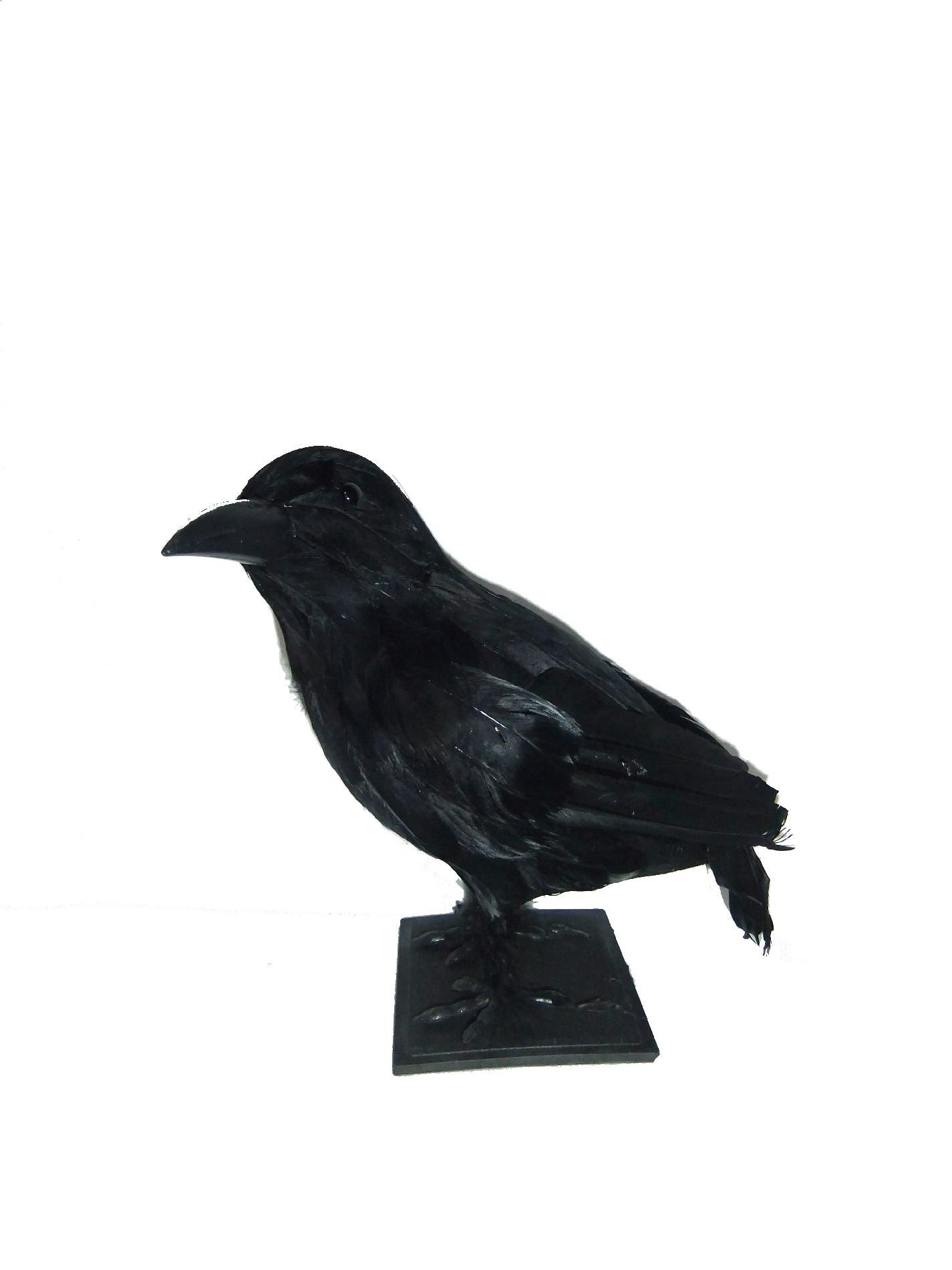 Totally Ghoul Realistic Crow Halloween Decoration