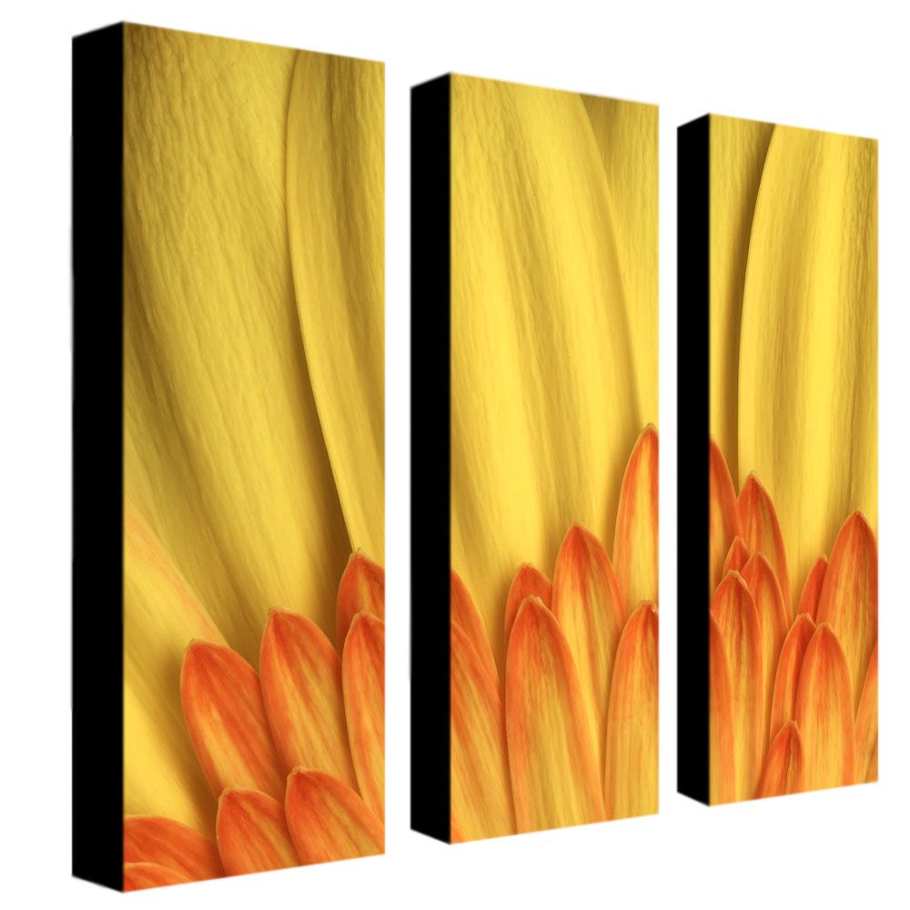 Trademark Global Three 8x24 inch pieces "Flame" by AIANA