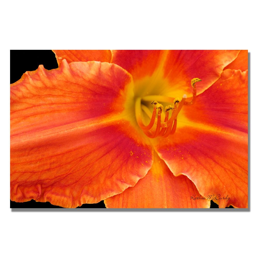 Trademark Global Kathie McCurdy 'Orange Day Lily' Canvas Art