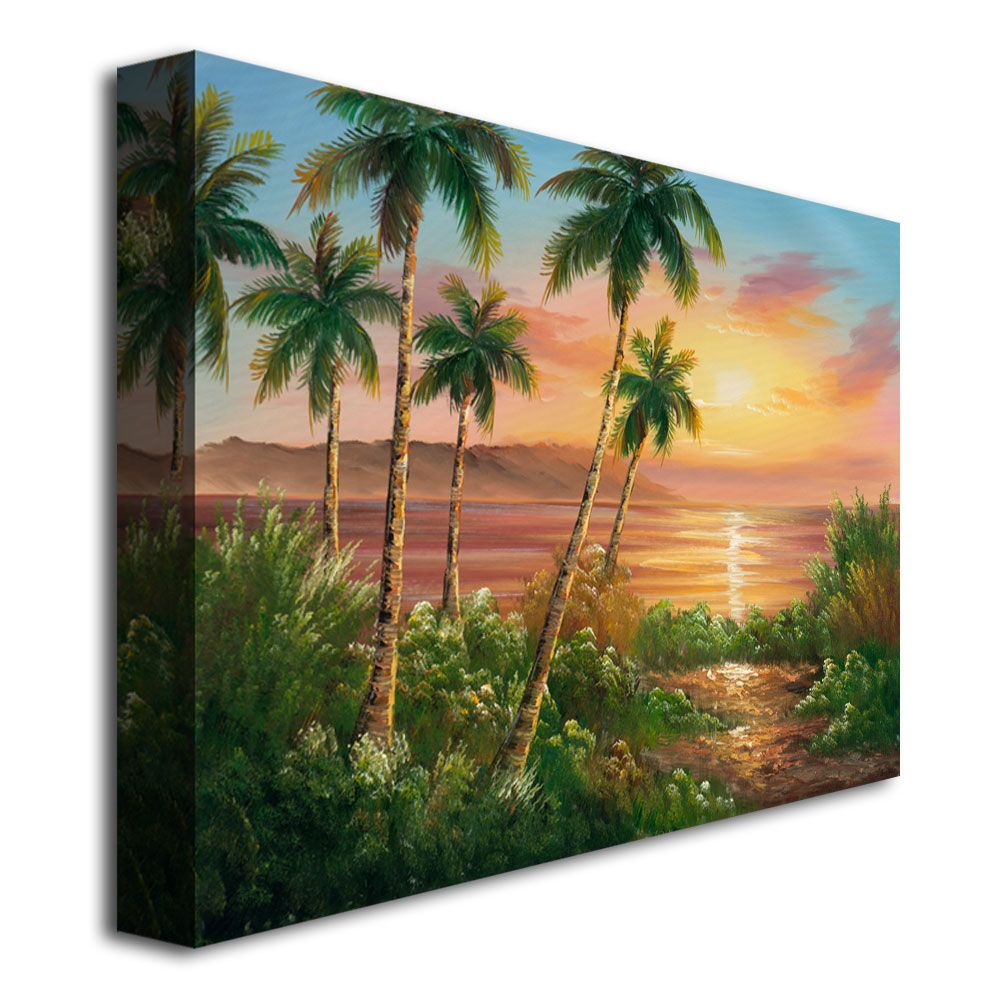 Trademark Global 26x32 inches Rio "Pacific Sunset"