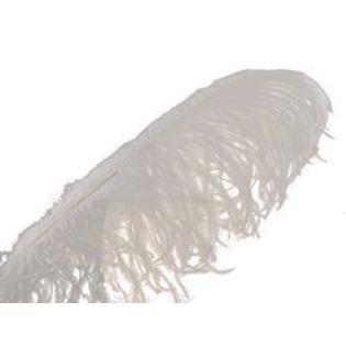 Ostrich Plume Feathers 1/Pkg-White