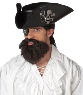 CALIFORNIA COSTUME COLLECTIONS The Captain Beard Costume