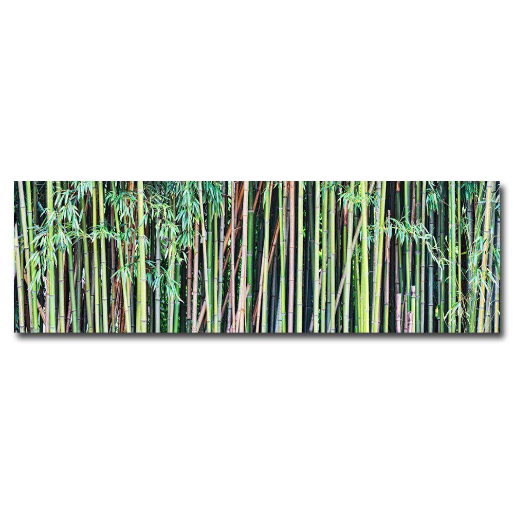 Trademark Global Gregory O'Hanlon 'Bamboo' Canvas Art