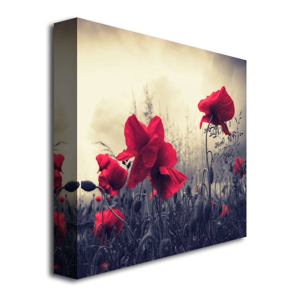 Trademark Global Philippe Sainte-Laudy 'Red For Love' Canvas Art