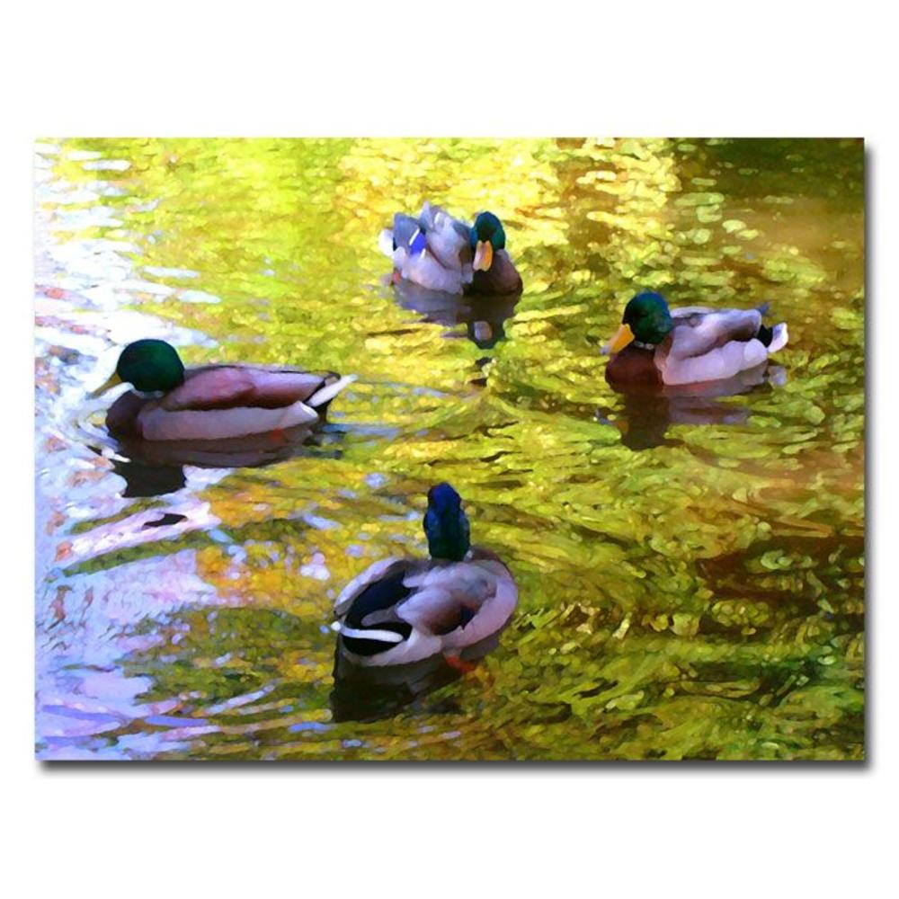 Trademark Global Amy Vangsgard 'Four Ducks on Pond' Canvas Art