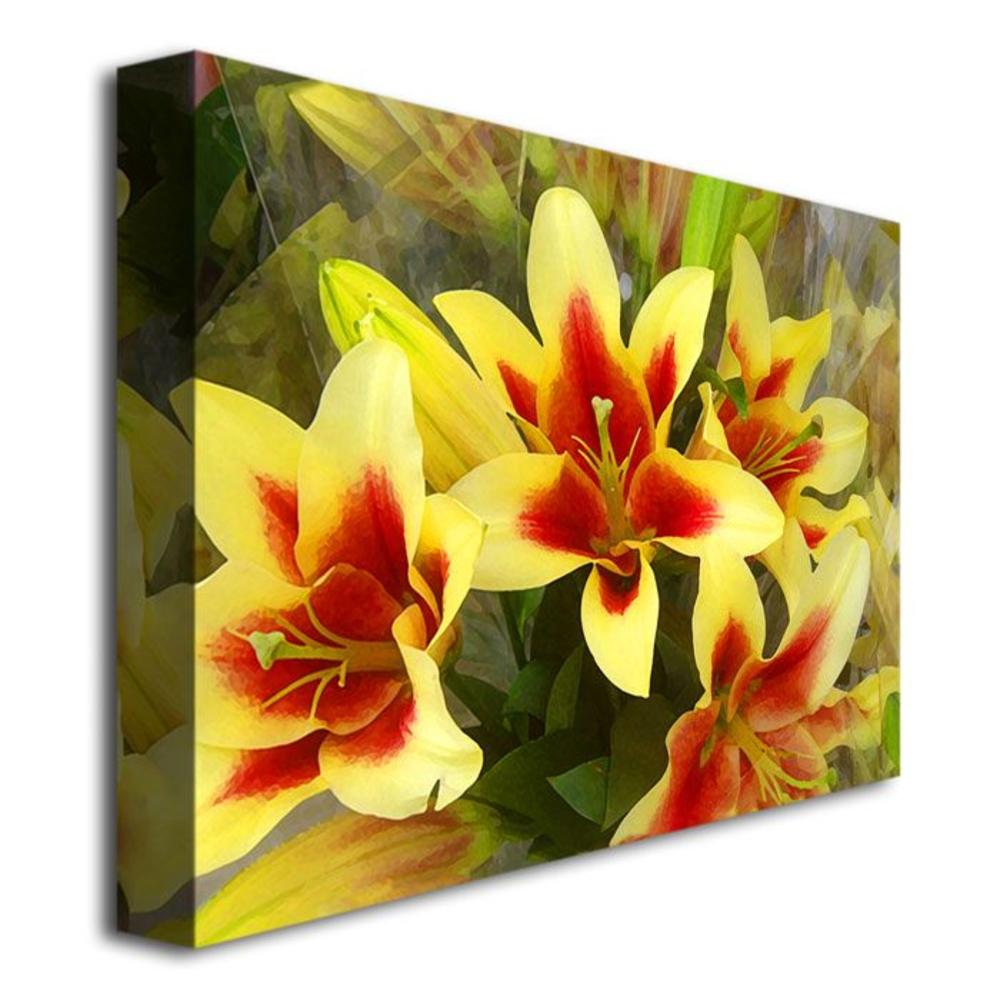 Trademark Global Amy Vangsgard 'Lillies' Canvas Art