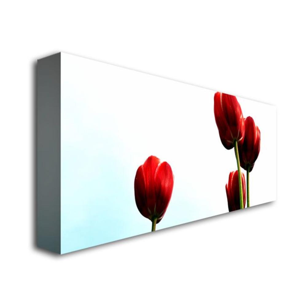 Trademark Global Michelle Calkins 'Four Red Tulips' Canvas Art