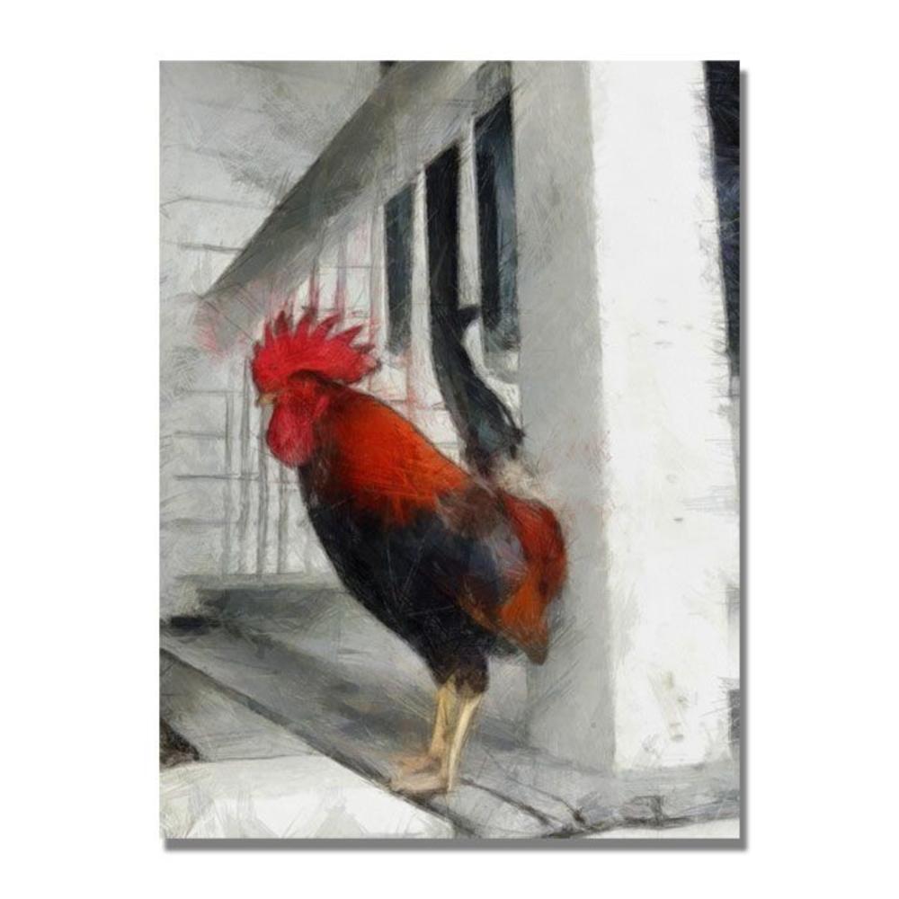 Trademark Global Michelle Calkins 'Key West Rooster' Canvas Art