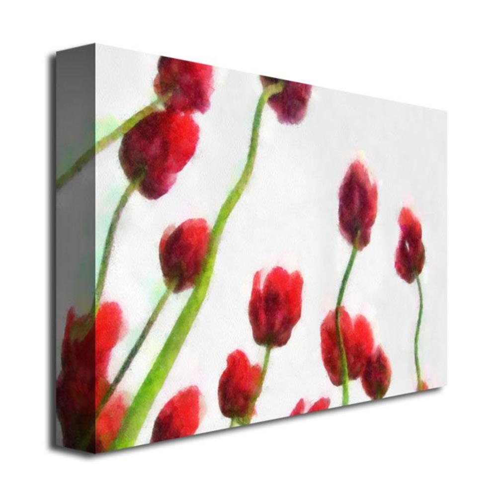 Trademark Global Michelle Calkins 'Red Tulips from Bottom Up IV' Canvas Art