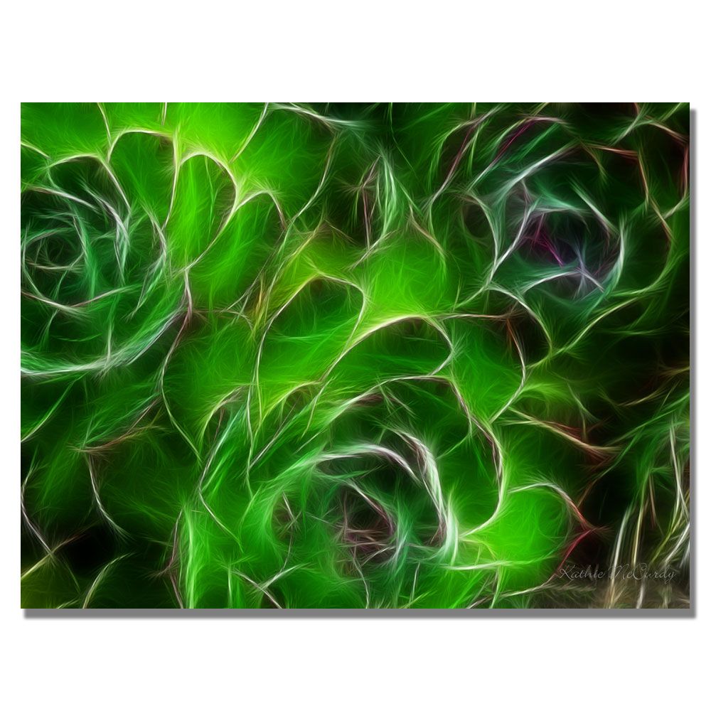 Trademark Global Kathie McCurdy 'Hens and Chicks' Canvas Art