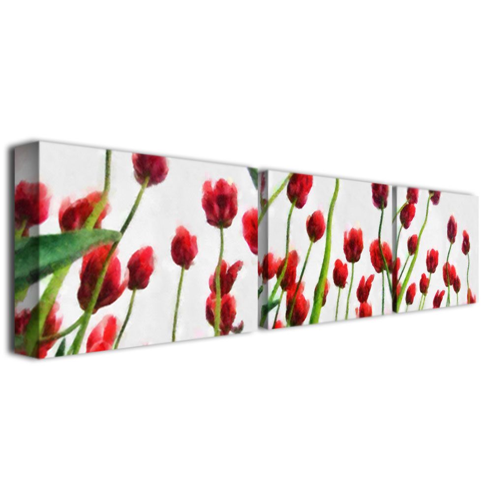 Trademark Global Michelle Calkins 'Red Tulips from Bottom Up' Canvas Art Set