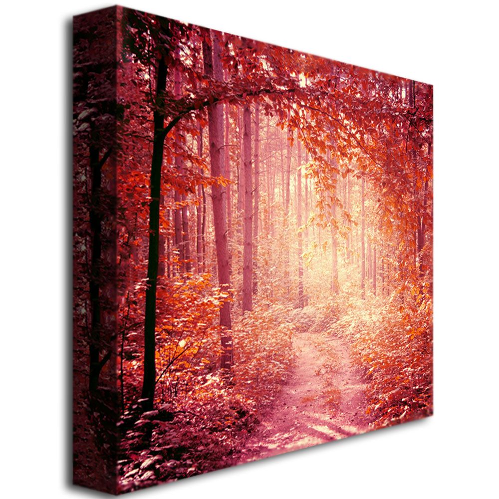 Trademark Global Beata Czyzowska Young 'Enchanted Forest' Canvas Art
