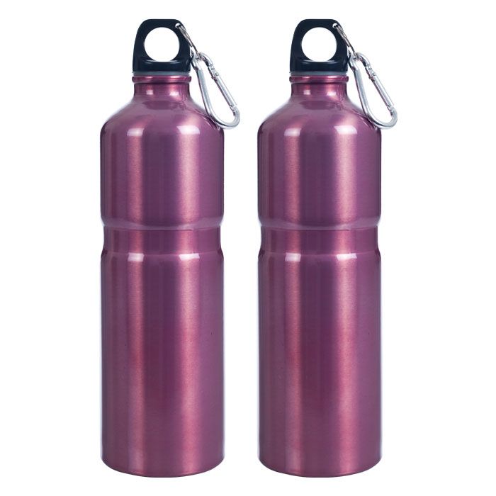 Whetstone Stainless Steel Water Bottle - 2pk 25oz - Rose