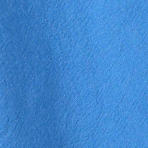 Selected Color is Directoire Blue