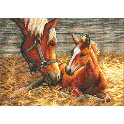 Dimensions Gold Collection Counted Cross Stitch Kit, Good Morning Horses, 18 Count Ivory Aida, 7 x 5