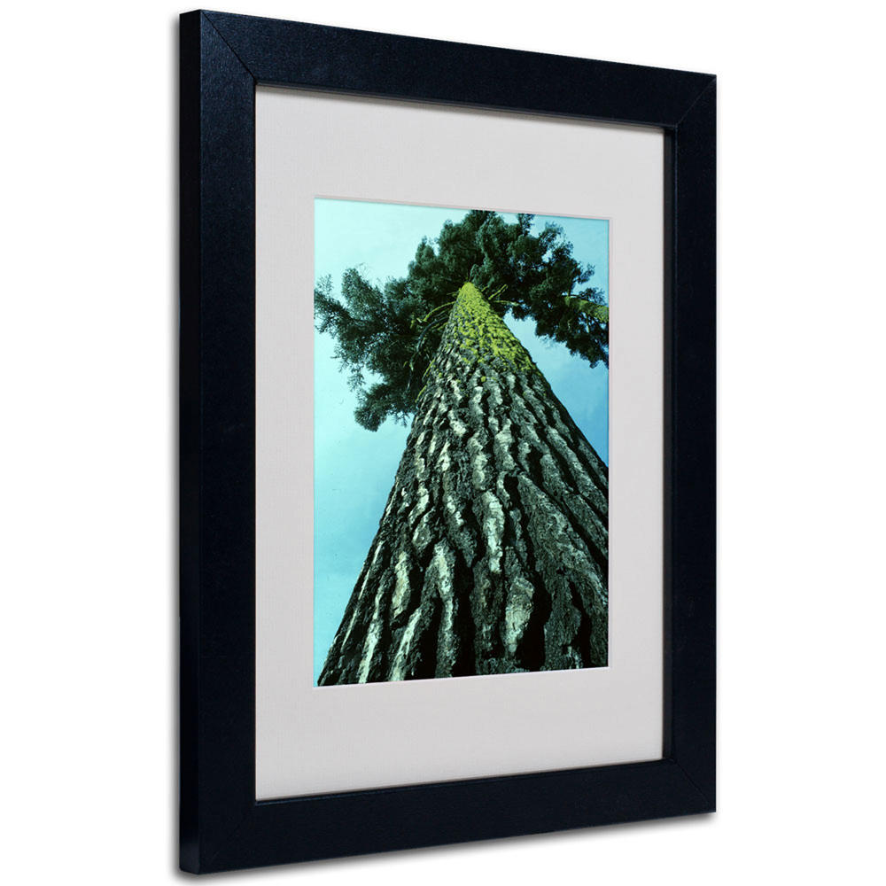 Trademark Global Kurt Shaffer 'A Tree of Life' Matted Framed Art