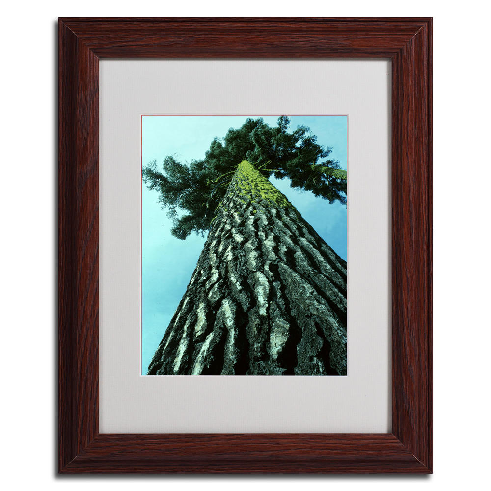 Trademark Global Kurt Shaffer 'A Tree of Life' Matted Framed Art