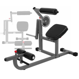 XMark Commercial Rotary Ab Back Extension Machine XM7614 Fitness