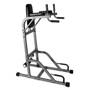XMark Vertical Knee Raise (VKR) with Dip Station XM-4437 - Fitness ...