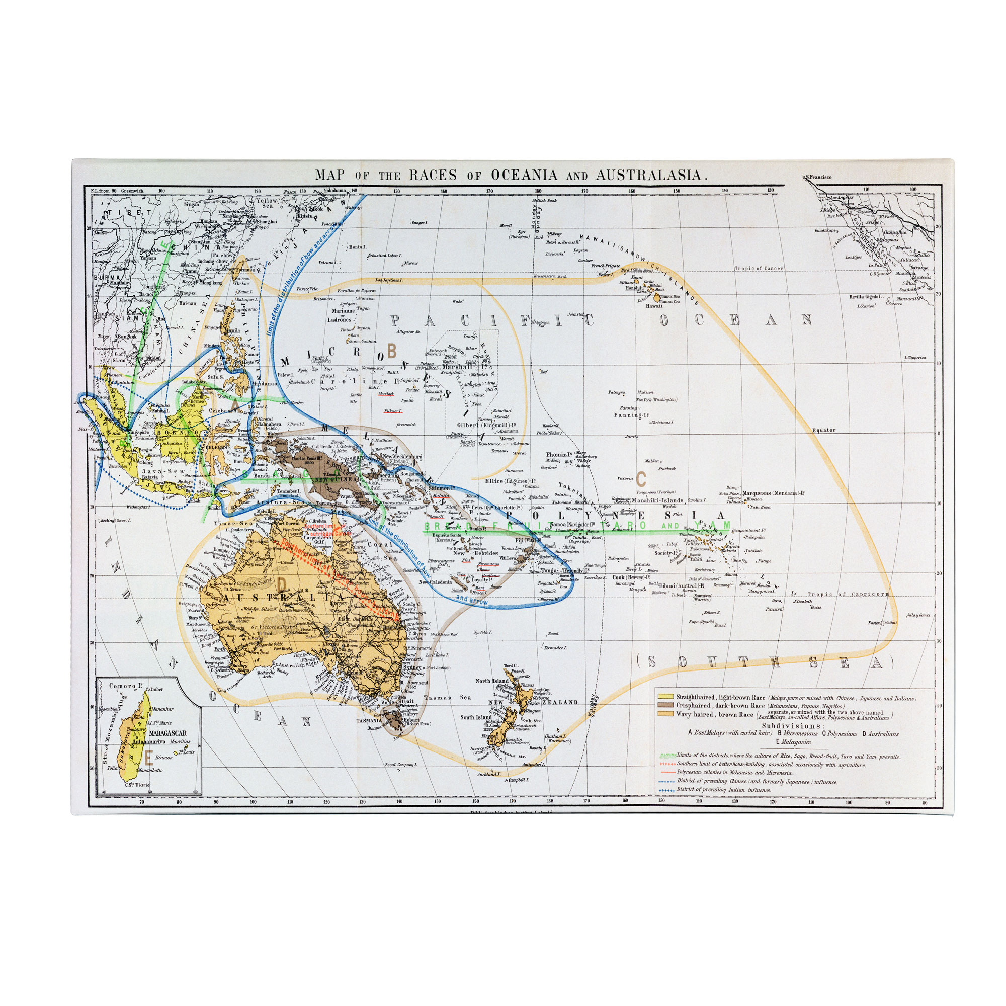 Trademark Global 'Map of the Races of Oceania and Australasia' Canvas Art