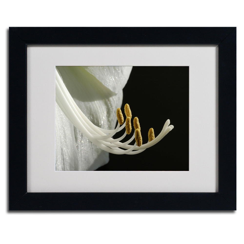Trademark Global Kurt Shaffer 'Intimate Amaryllis' Matted Framed Art