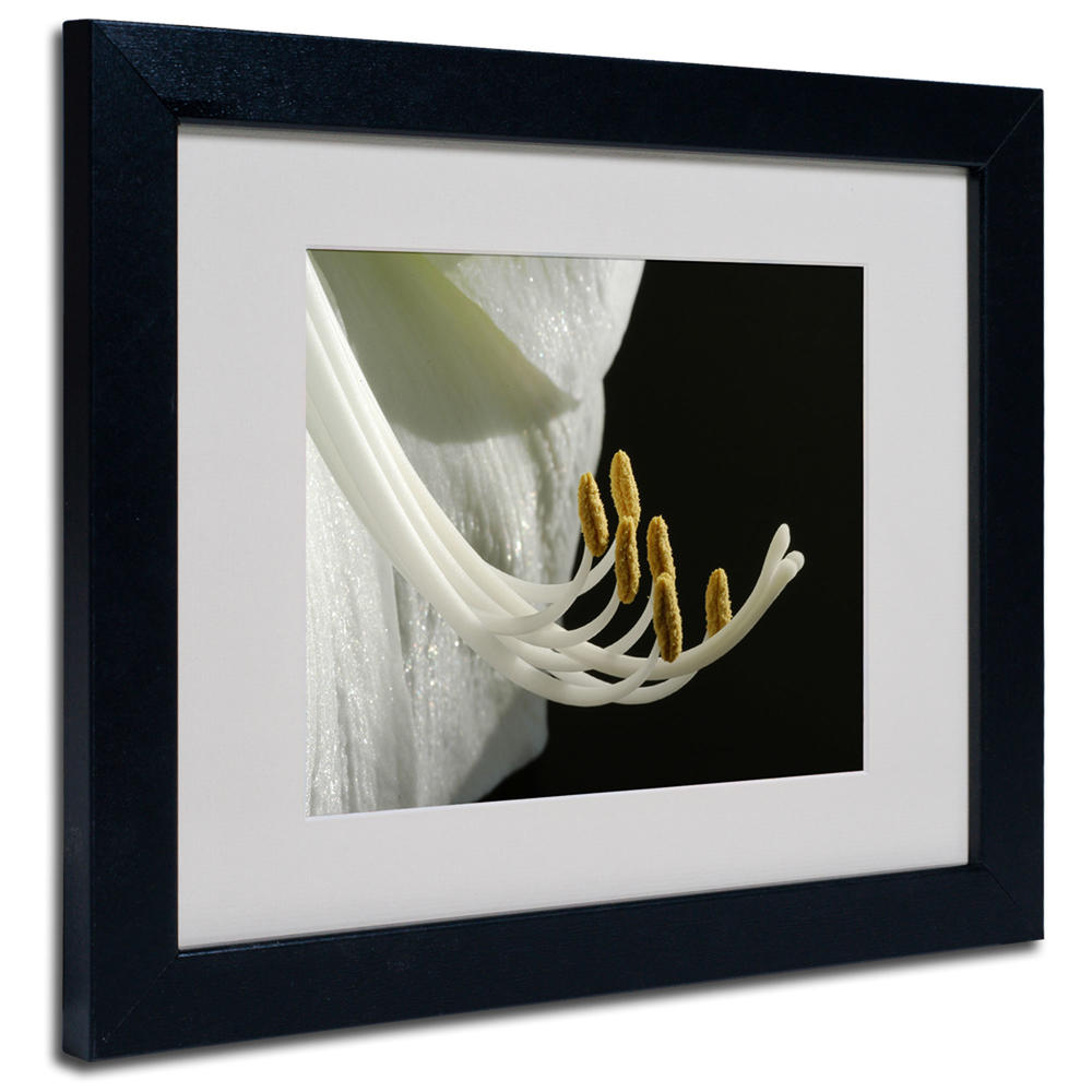 Trademark Global Kurt Shaffer 'Intimate Amaryllis' Matted Framed Art