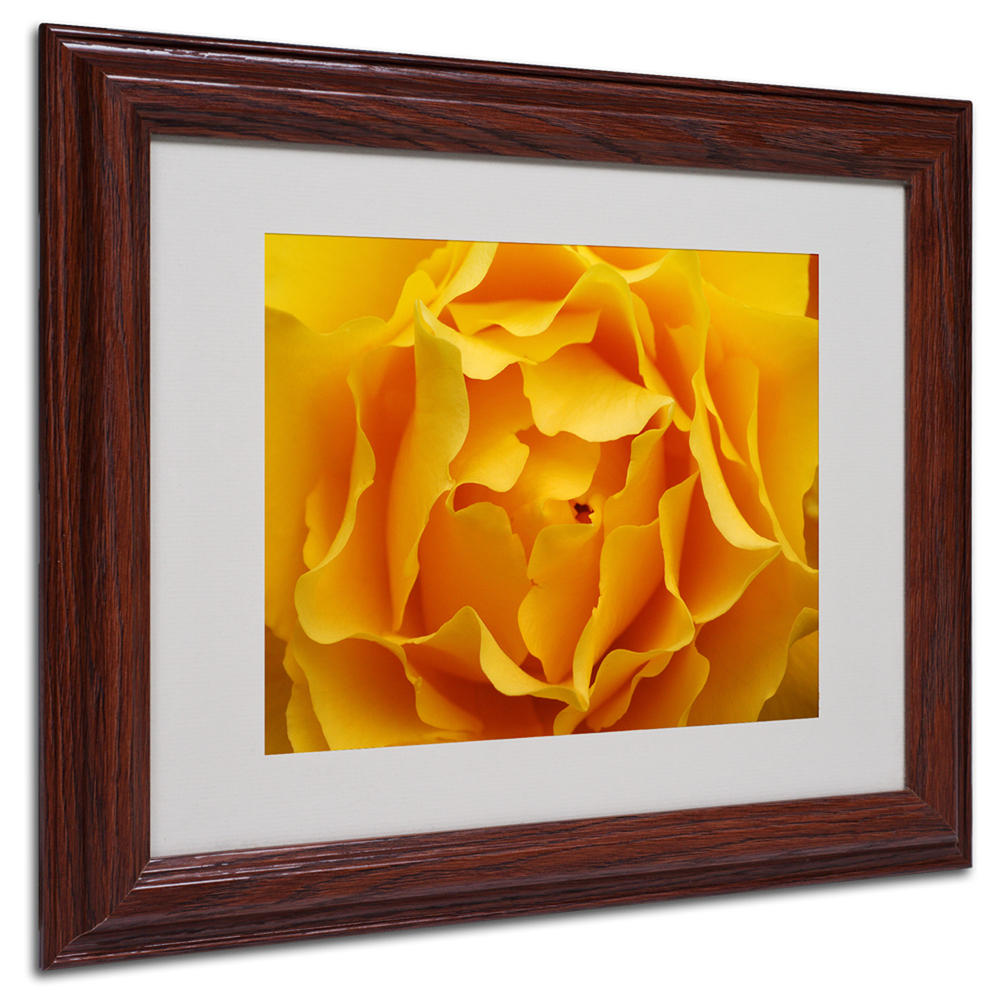 Trademark Global Kurt Shaffer 'Hypnotic Yellow Rose' Matted Framed Art