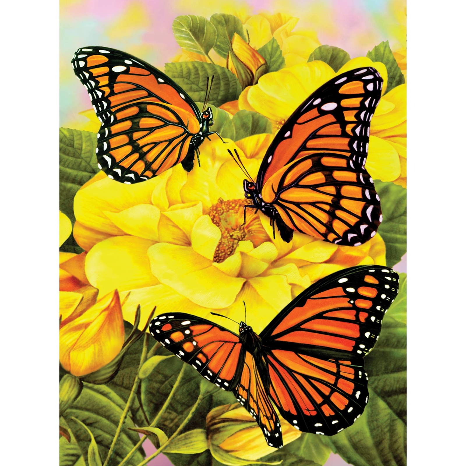 Jr Small Paint By Number Kit 8-3/4"X11-3/4"-Majestic Monarchs