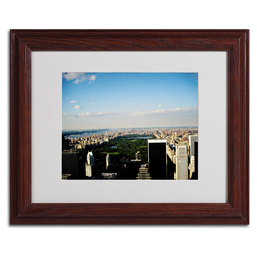 Trademark Global Ariane Moshayedi 'NYC Skies' Matted Framed Art