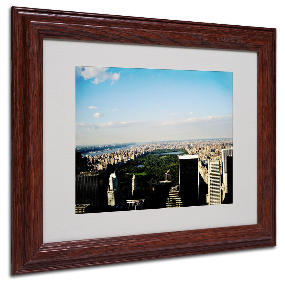 Trademark Global Ariane Moshayedi 'NYC Skies' Matted Framed Art