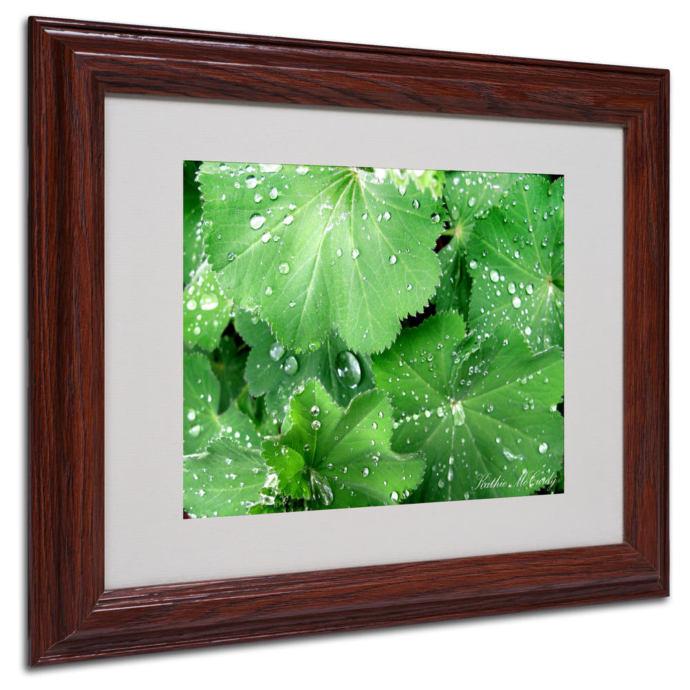 Trademark Global Kathie McCurdy 'Water Droplets' Matted Framed Art