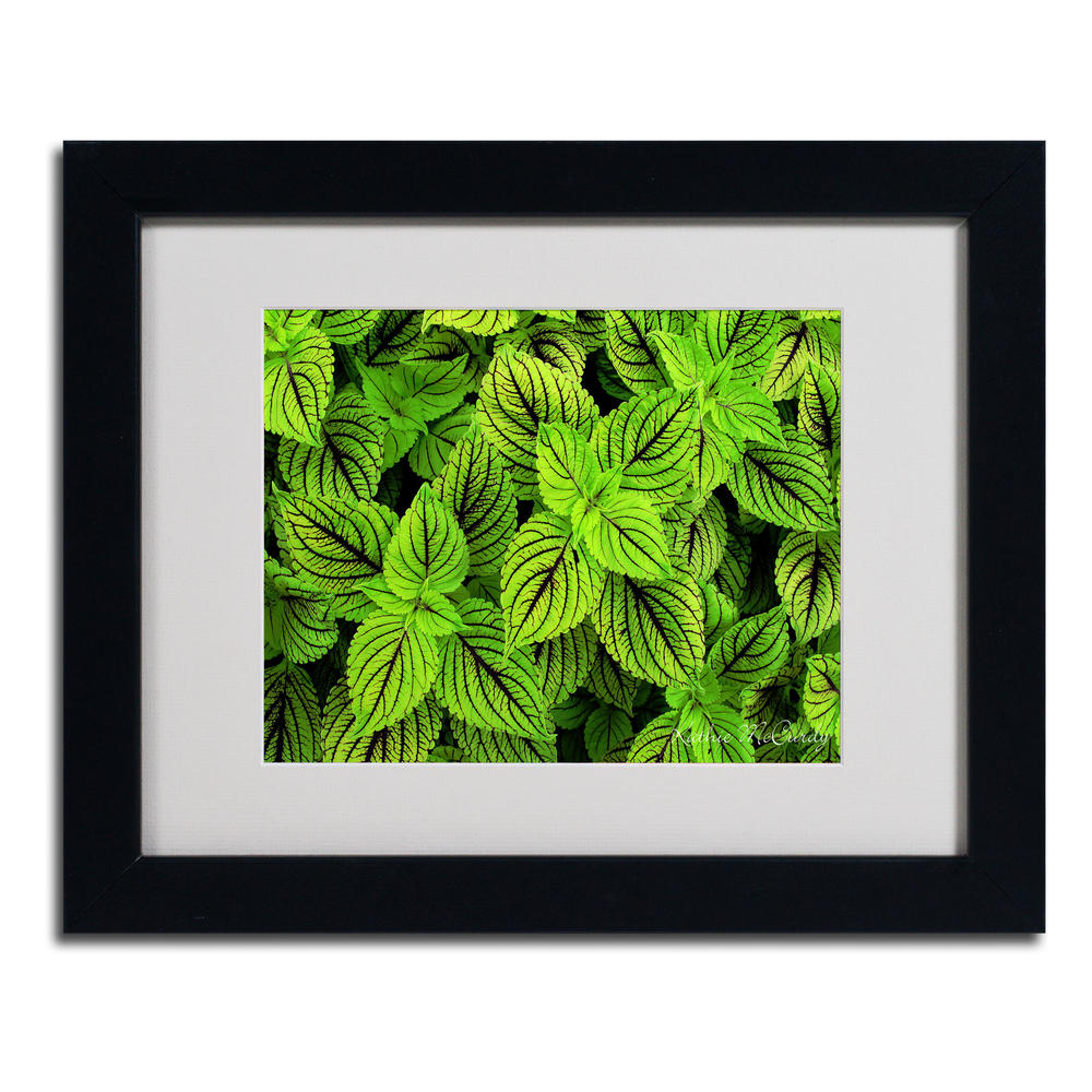 Trademark Global Kathie McCurdy 'Coleus' Matted Framed Art