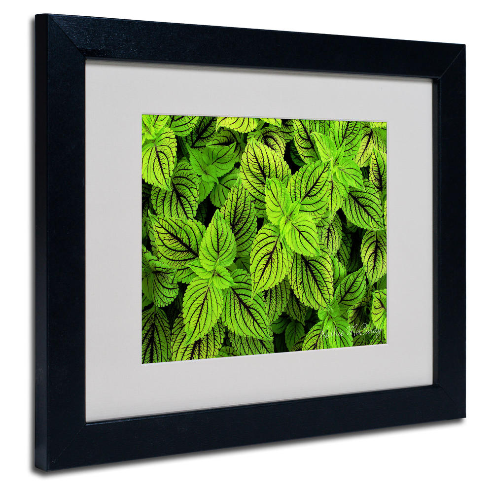 Trademark Global Kathie McCurdy 'Coleus' Matted Framed Art