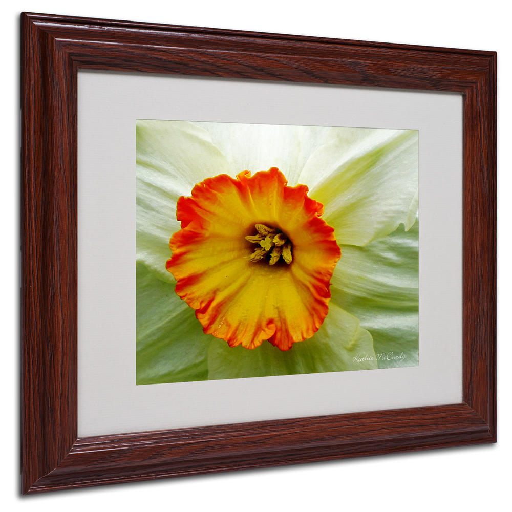 Trademark Global Kathie McCurdy 'Furnace Run Daffodil Large' Matted Framed Art