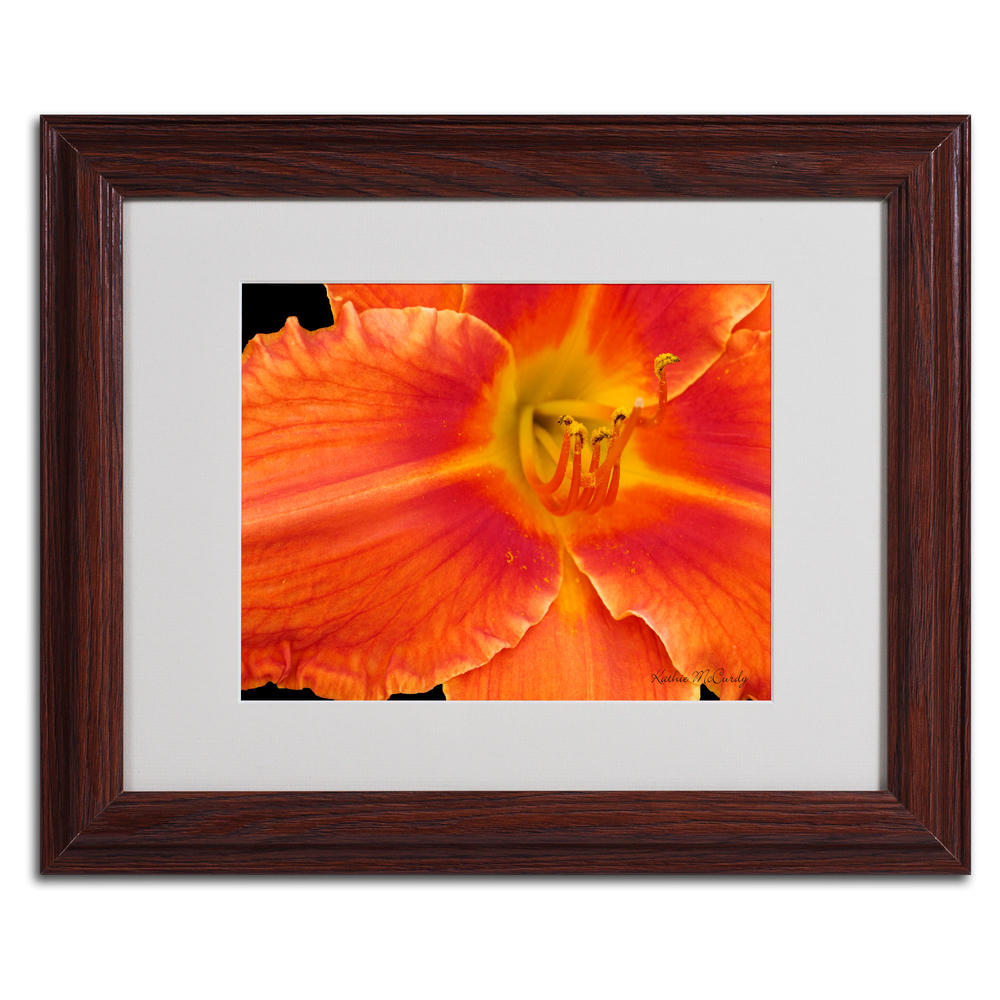 Trademark Global Kathie McCurdy 'Orange Day Lily' Matted Framed Art