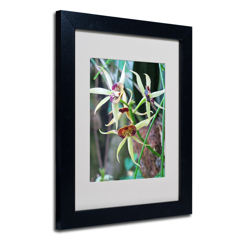 Trademark Global Kathie McCurdy 'Orchids I' Matted Framed Art