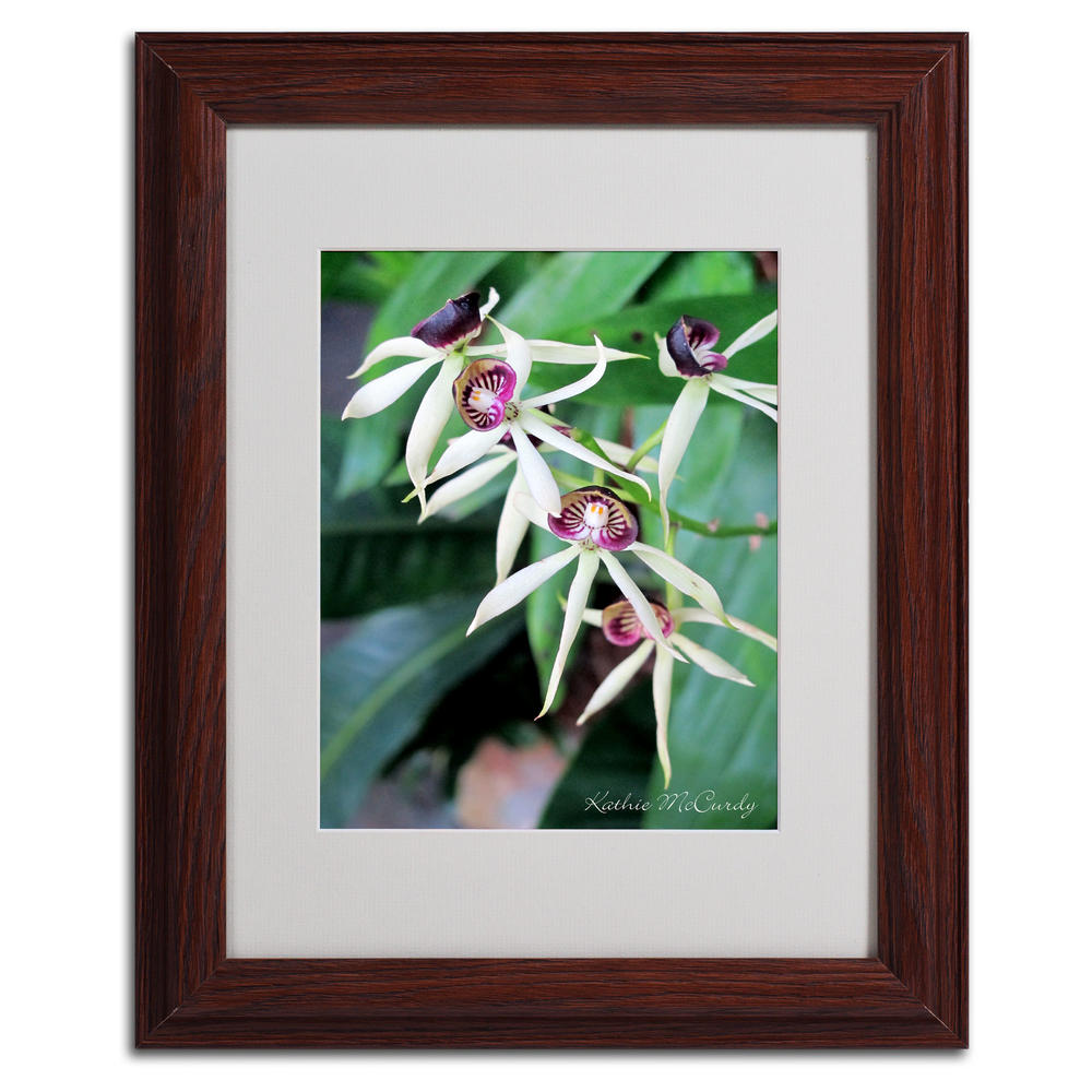 Trademark Global Kathie McCurdy 'Orchids II' Matted Framed Art