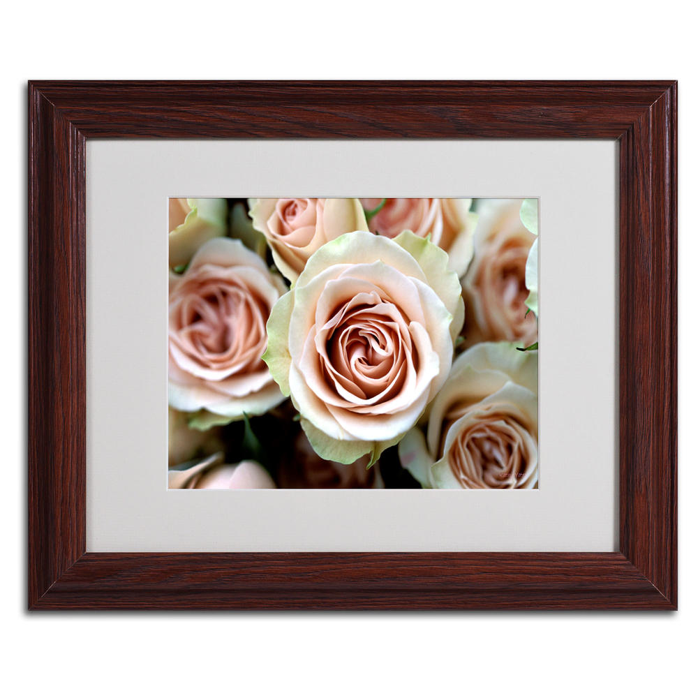 Trademark Global Kathy Yates 'Pale Pink Roses' Matted Framed Art