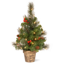 National Tree Company National Tree 2 Foot Crestwood Spruce Tree with Silver Bristle, Cones, Red Berries, 35 Clear Lights in Bronze Pot (CW7-306-20)