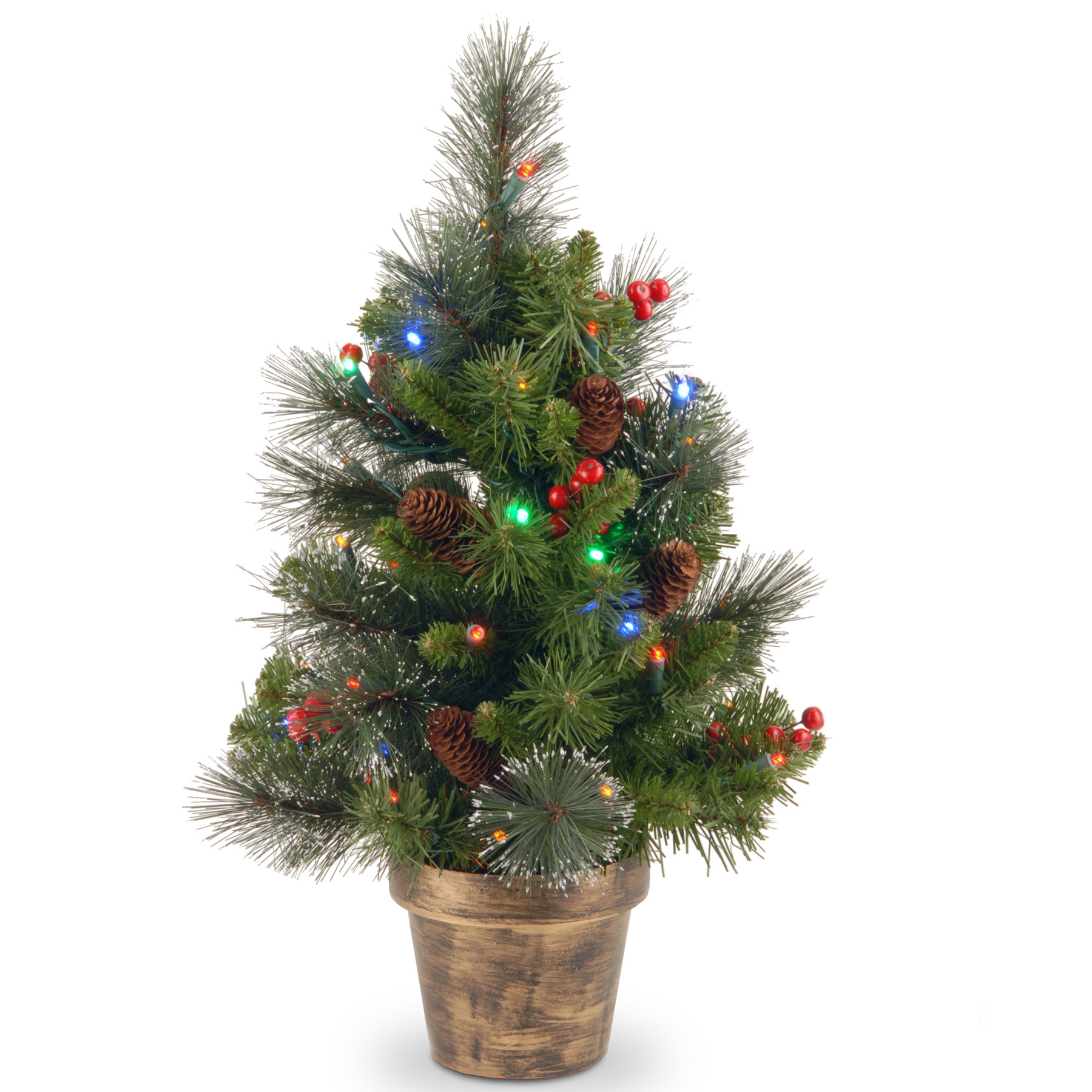 National Tree Company 2 ft. Crestwood Spruce Tree with Battery Operated Multicolor LED Lights