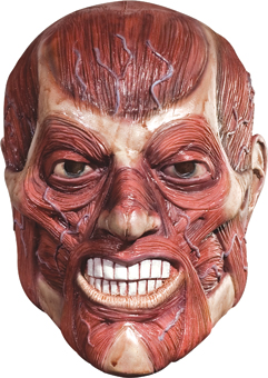 Adult Skinner Mask Costume Accessory