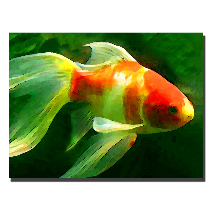 Trademark Global Amy Vangsgard 'Goldfish' Canvas Art