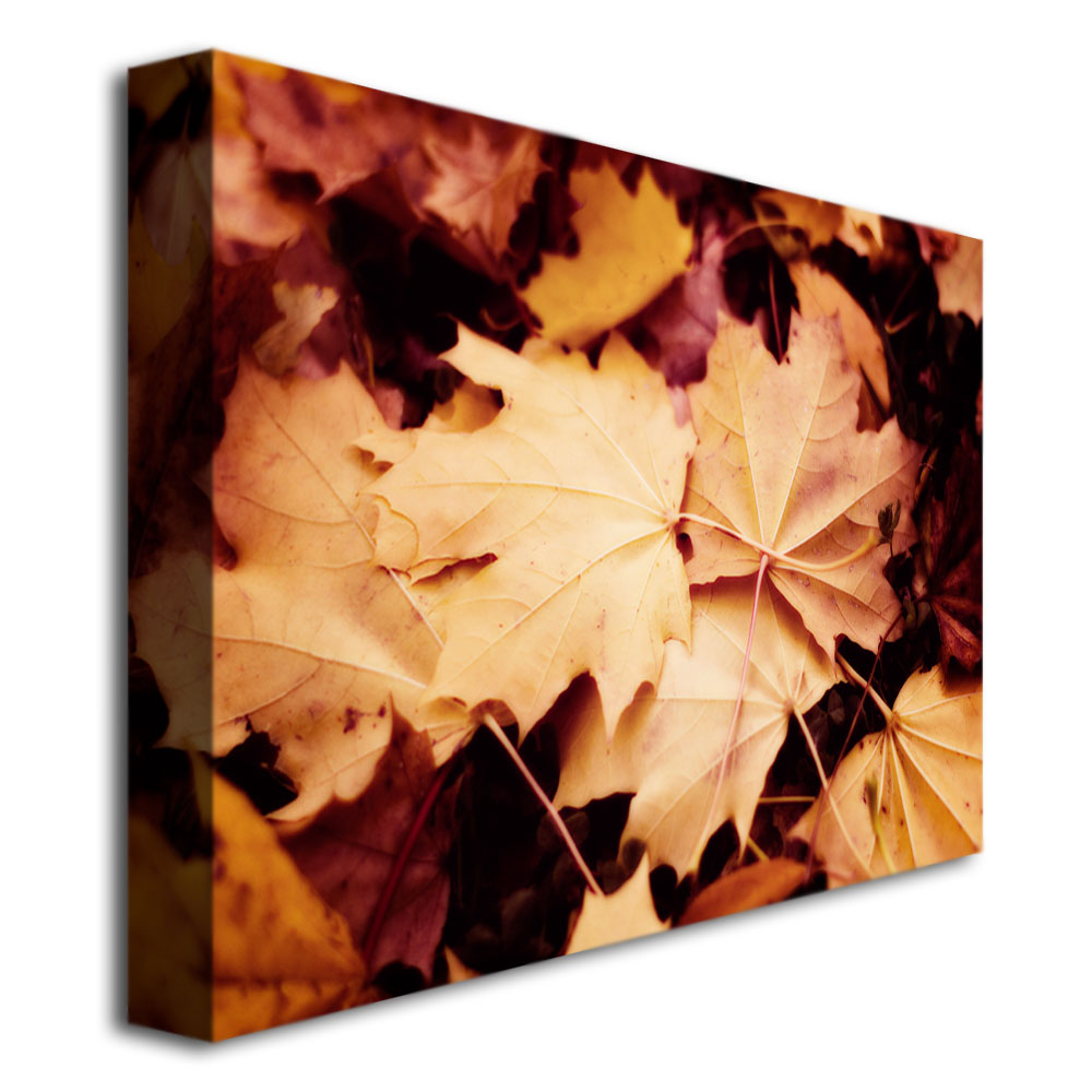 Trademark Global Ariane Moshayedi 'Fall Leaves' Canvas Art