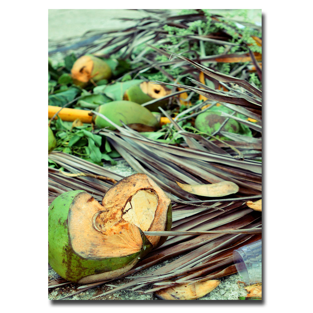 Trademark Global Ariane Moshayedi 'Coconut Jungle' Canvas Art
