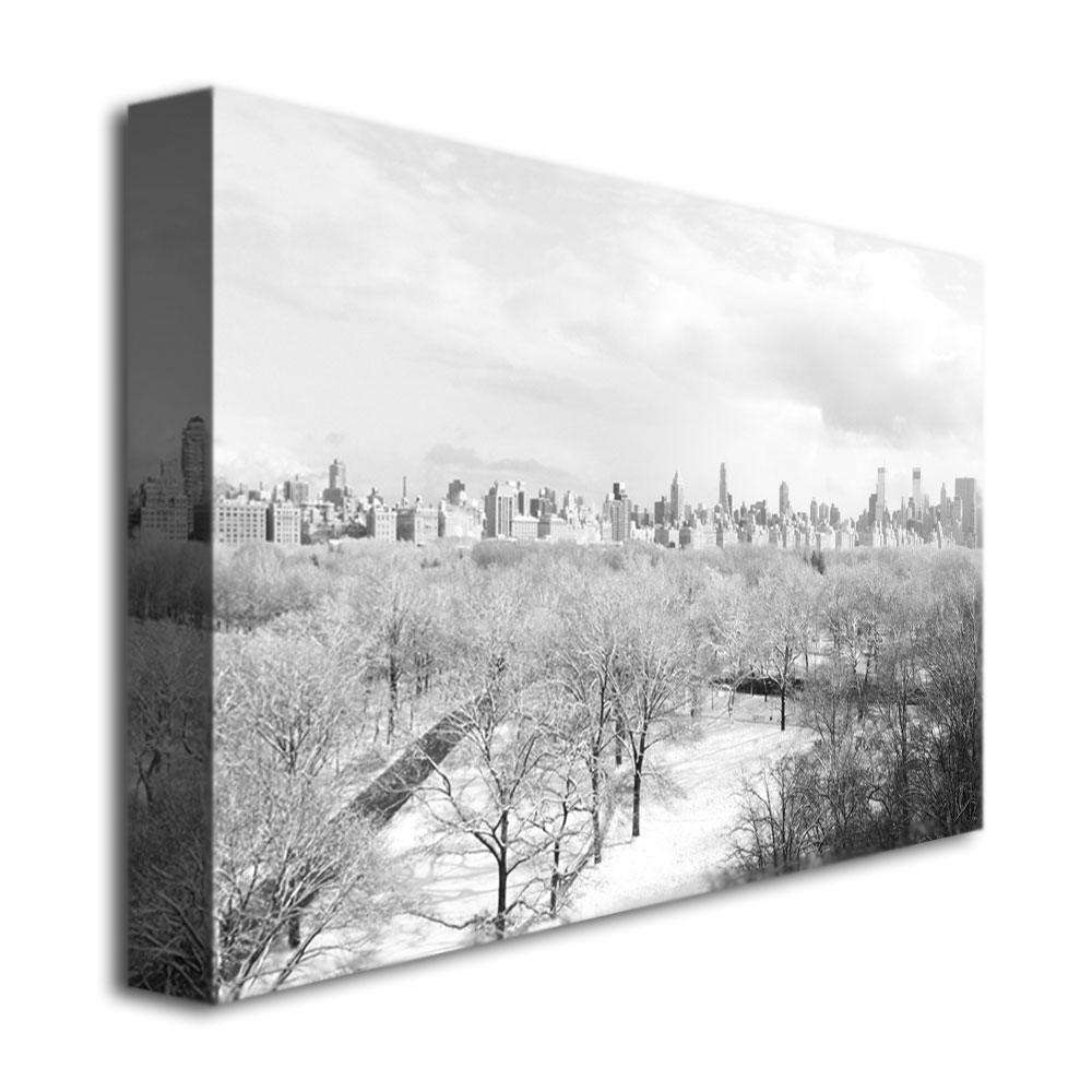 Trademark Global Ariane Moshayedi 'Snow Everywhere' Canvas Art