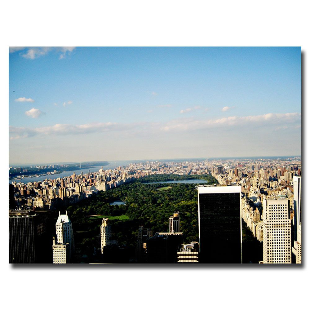 Trademark Global Ariane Moshayedi 'NYC Skies' Canvas Art