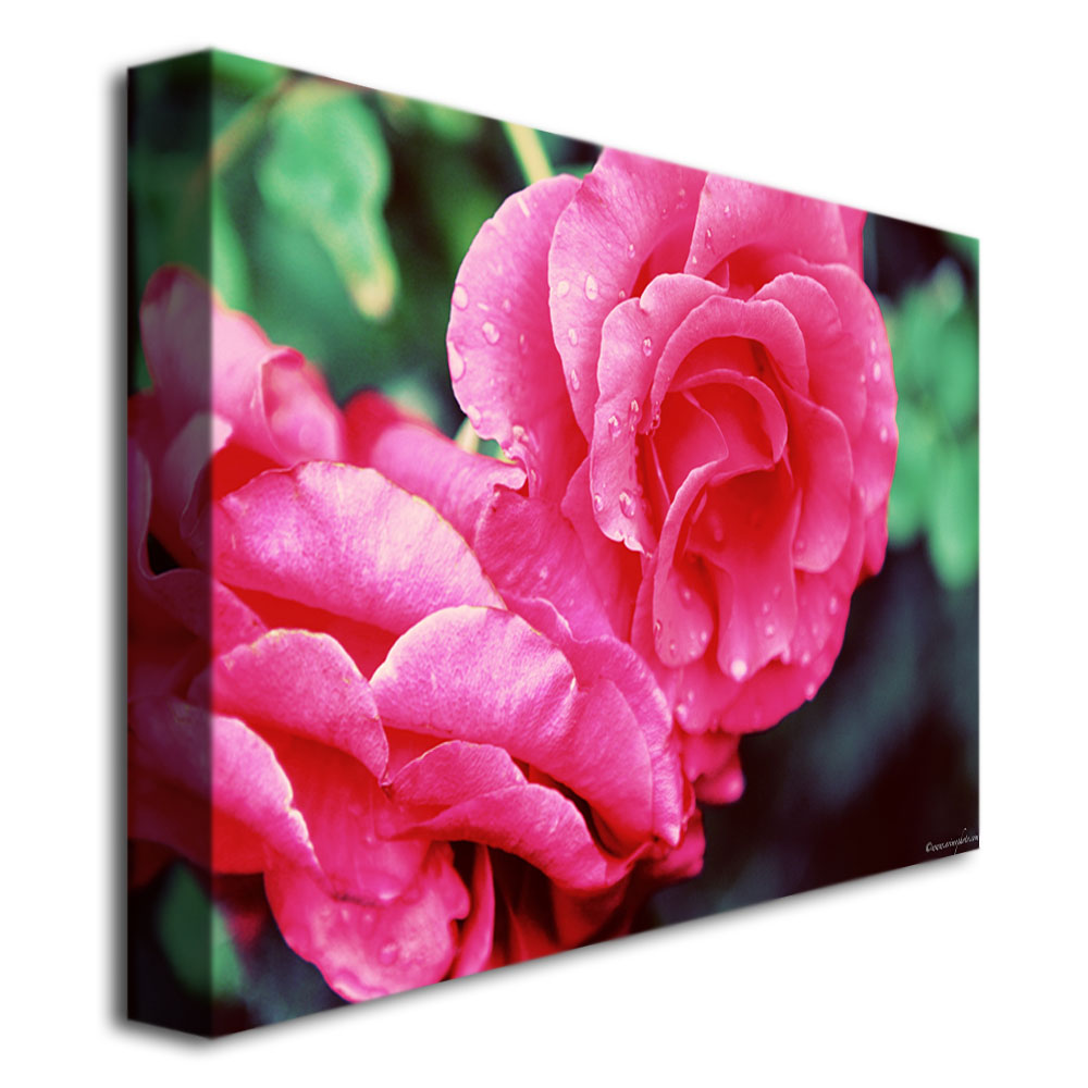 Trademark Global Ariane Moshayedi 'Rose Dew' Canvas Art
