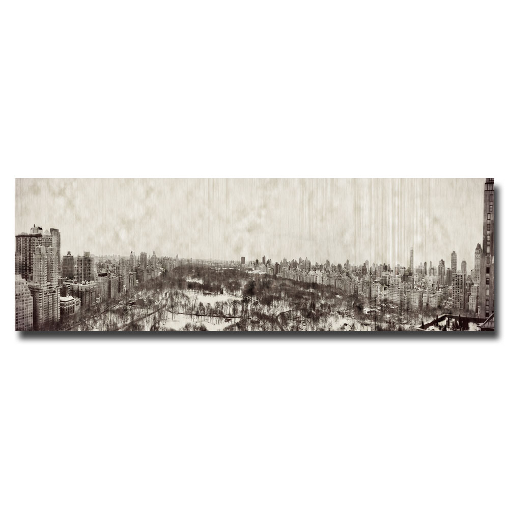 Trademark Global Ariane Moshayedi 'Vintage NY Panorama' Canvas Art