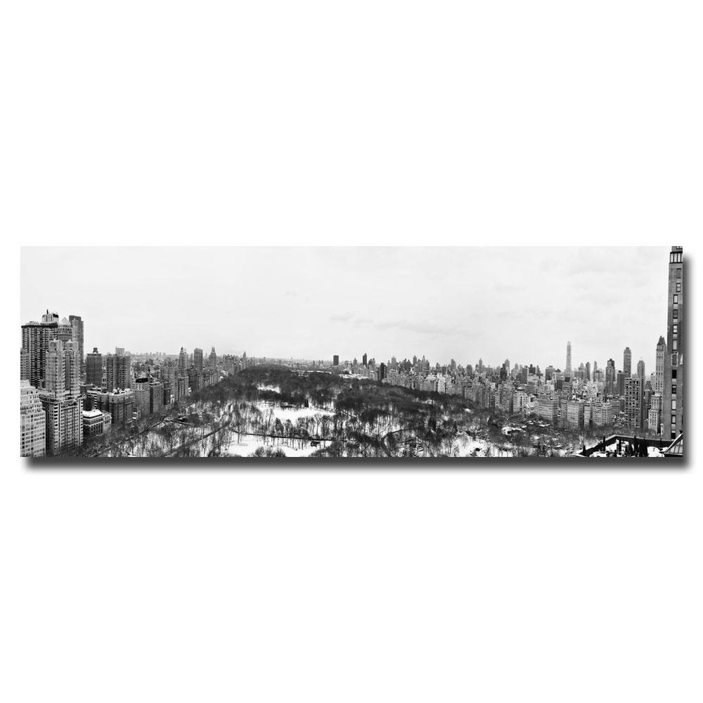 Trademark Global Ariane Moshayedi 'BW NYC Panorama' Canvas Art