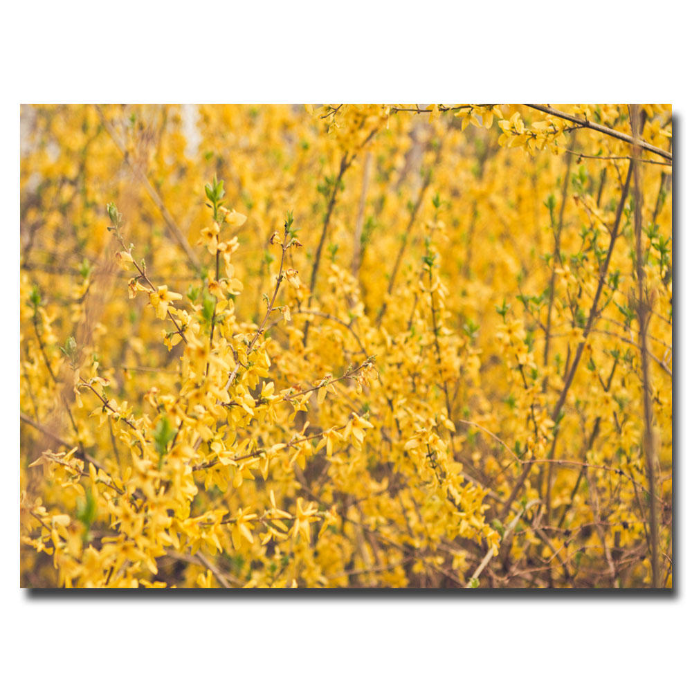 Trademark Global Ariane Moshayedi 'Yellow Buds' Canvas Art